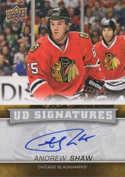 Andrew Shaw