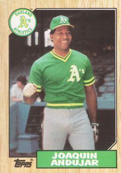 Joaquin Andujar