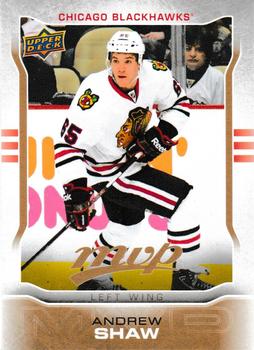 Andrew Shaw