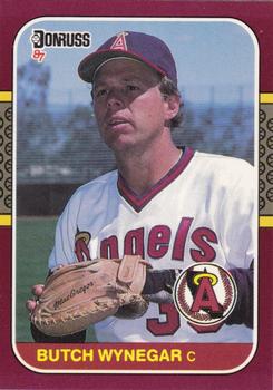 Butch Wynegar