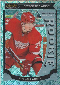 Dylan Larkin
