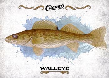 Walleye