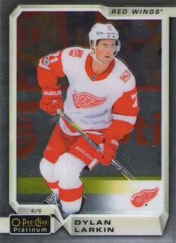 Dylan Larkin