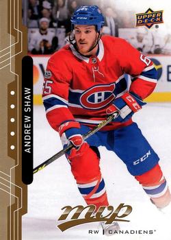 Andrew Shaw