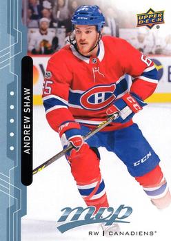 Andrew Shaw