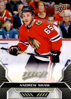 Andrew Shaw