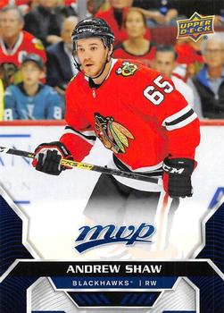 Andrew Shaw