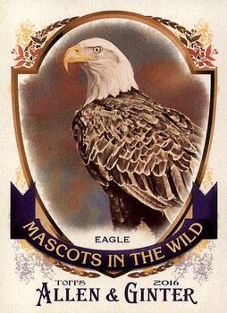 Eagle