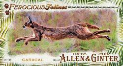 Caracal