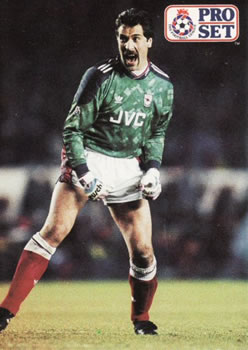 #1 David Seaman