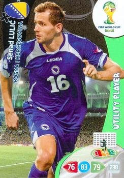 Senad Lulic