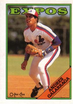 Andres Galarraga
