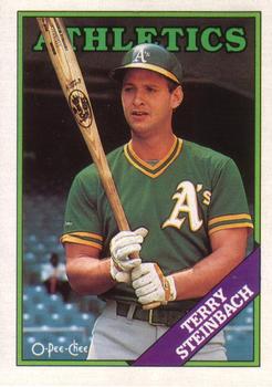 Terry Steinbach