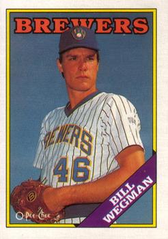 Bill Wegman
