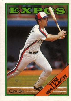 Tim Wallach