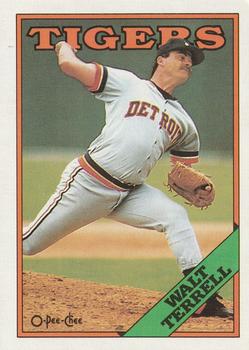 Walt Terrell