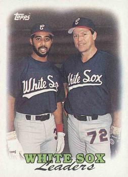 White Sox Leaders