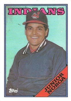 Junior Noboa