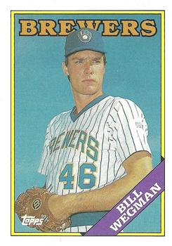 Bill Wegman