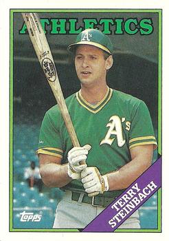 Terry Steinbach