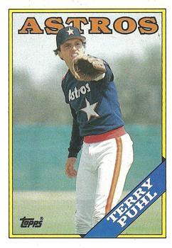 Terry Puhl