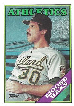Moose Haas