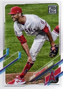 Steve Cishek