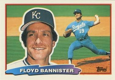 Floyd Bannister