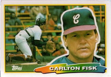 Carlton Fisk