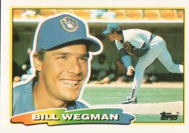 Bill Wegman