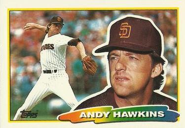Andy Hawkins
