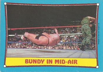 Bundy in Mid-air 