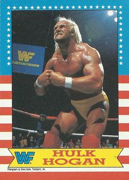 Hulk Hogan