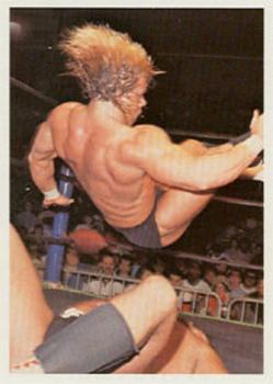 Lex Luger