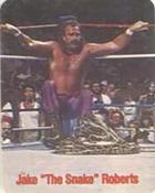 #NNO Jake "The Snake" Roberts