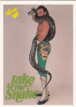 Jake "The Snake" Roberts