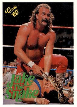 Jake "The Snake" Roberts