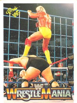 Hulk Hogan / King Kong Bundy 