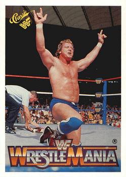 Rowdy Roddy Piper