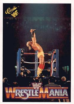 Hulk Hogan