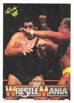 Hulk Hogan / Andre the Giant 