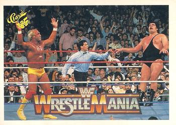 Hulk Hogan / Andre the Giant 