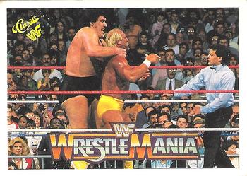 Hulk Hogan / Andre the Giant 