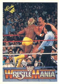Hulk Hogan / Andre the Giant 