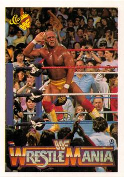 Hulk Hogan