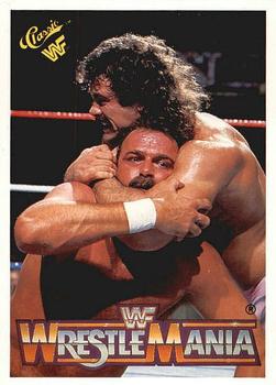 "Ravishing" Rick Rude / Jake "The Snake" Roberts 