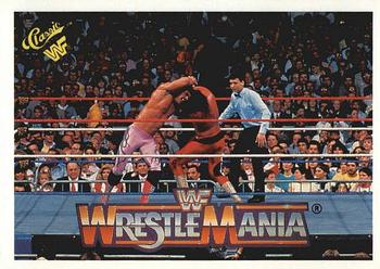 Jake "The Snake" Roberts / Rick Rude 