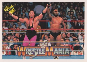 Bret "Hitman" Hart / Bad News Brown 