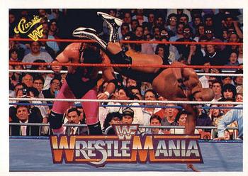Bret "Hitman" Hart / Bad News Brown 