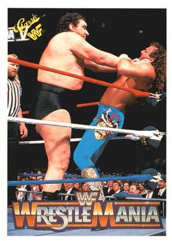 Andre the Giant / Jake "The Snake" Roberts 